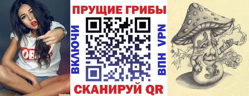 Галлюциногенные грибы Psilocybine cubensis  закладки  Духовщина 